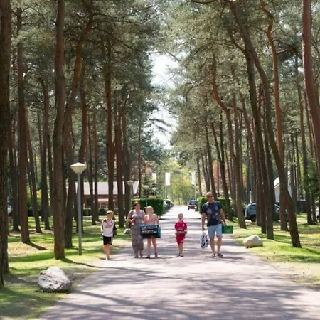 Chalet Op De Veluwe