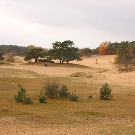 Chalet Op De Veluwe Horská chata Doornspijk