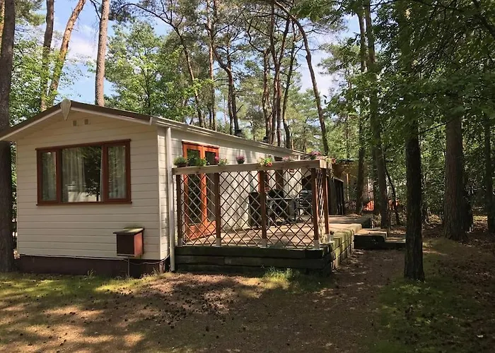 Chalet Chalet Op De Veluwe Doornspijk