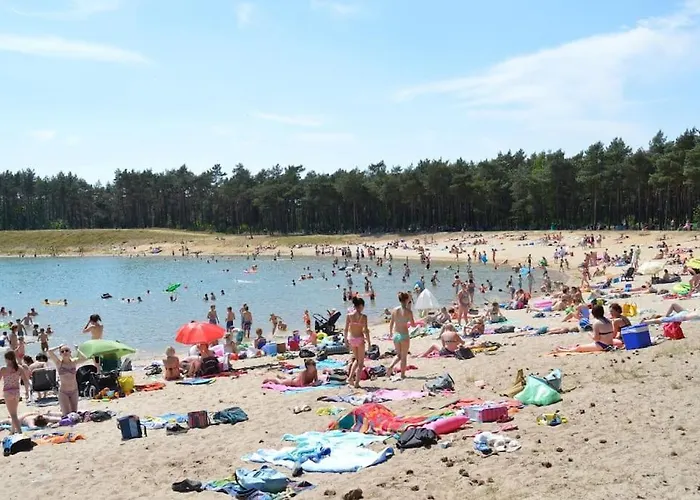 Chalet Chalet Op De Veluwe