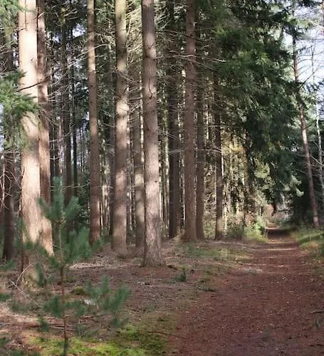 Chalet Op De Veluwe Chalet Doornspijk