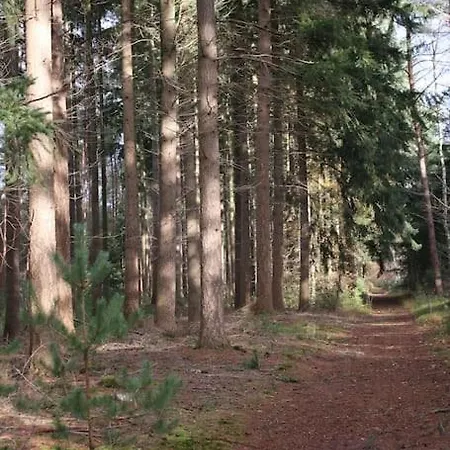 Chalet Op De Veluwe Шале Doornspijk