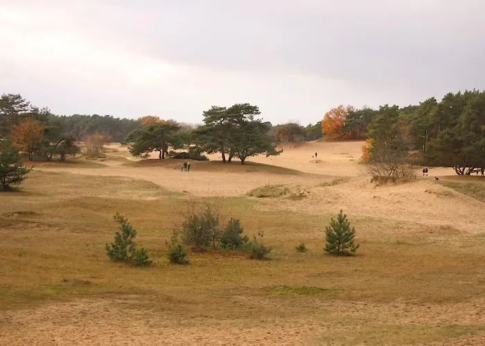 Chalet Op De Veluwe בקתה Doornspijk